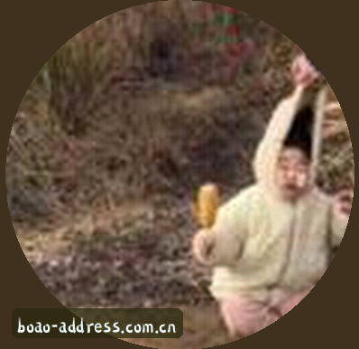 赵宇