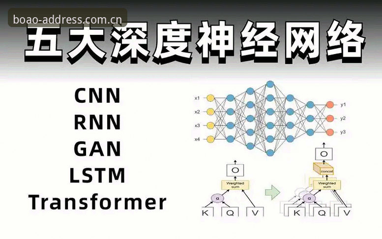 资深用户深度拆解：博奥体育官方版功能详解与三年实战经验分享